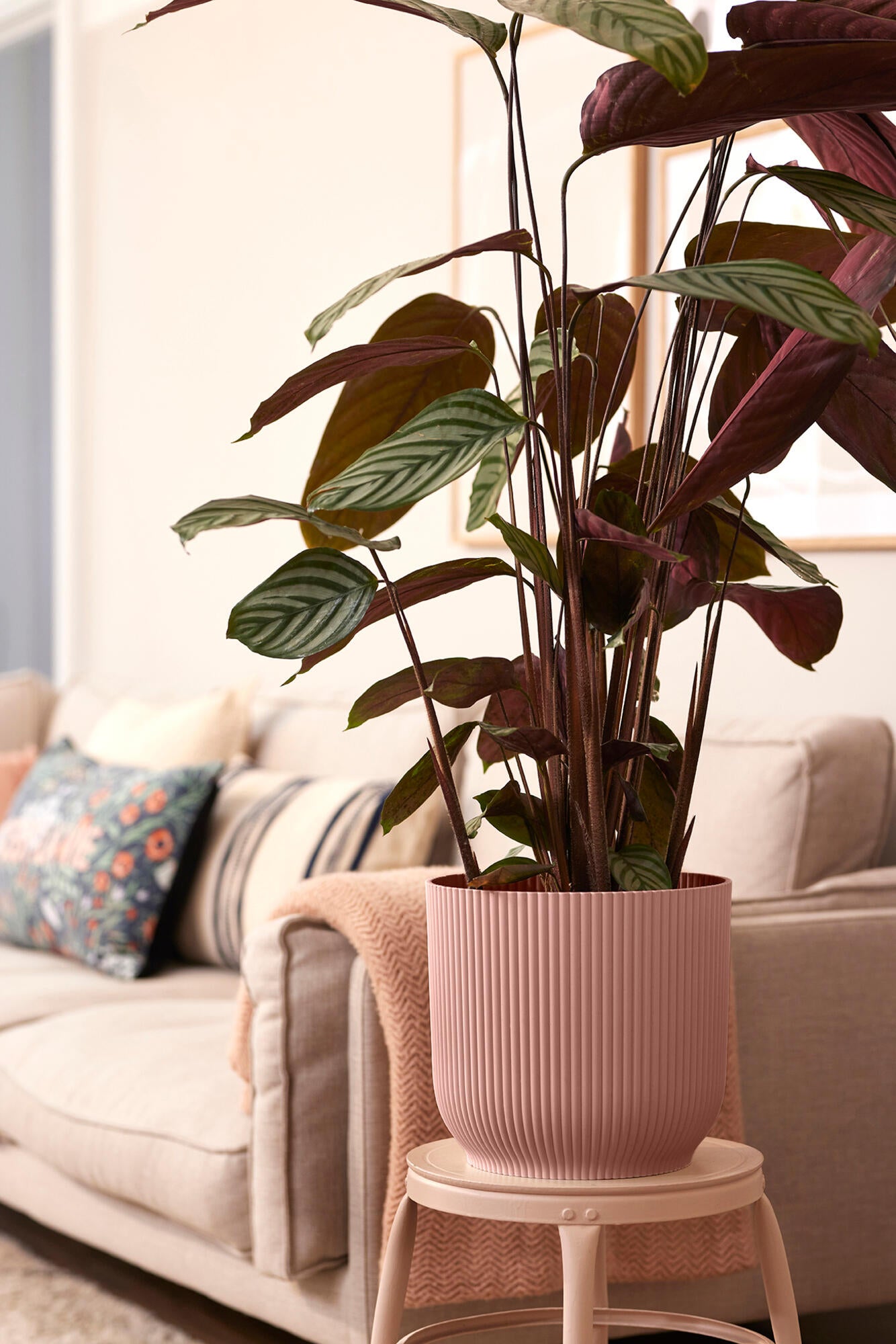 VIBES FOLD ROND 30 ROSE POUDRE - 4