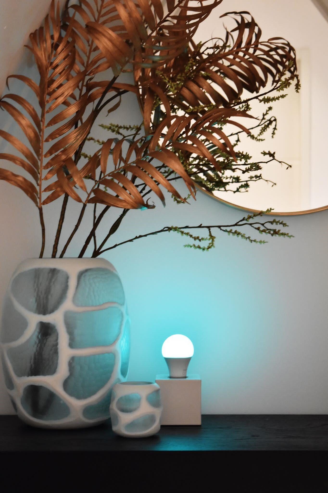 Ampoule connectée led standard E27 variation blancs, couleurs + intensité CALEX - 2