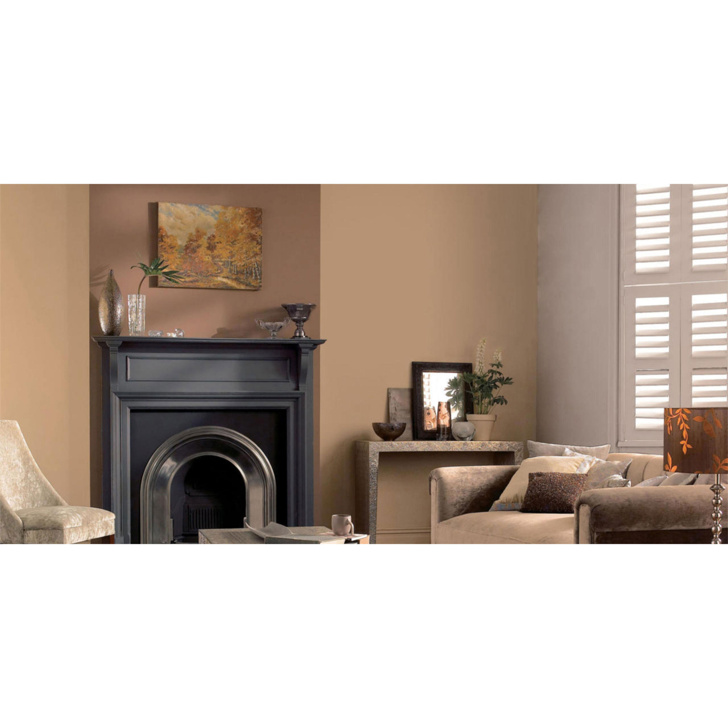 Peinture mur marron glacé satin DULUX VALENTINE Crème de couleur 2.5L+20% gt - 3