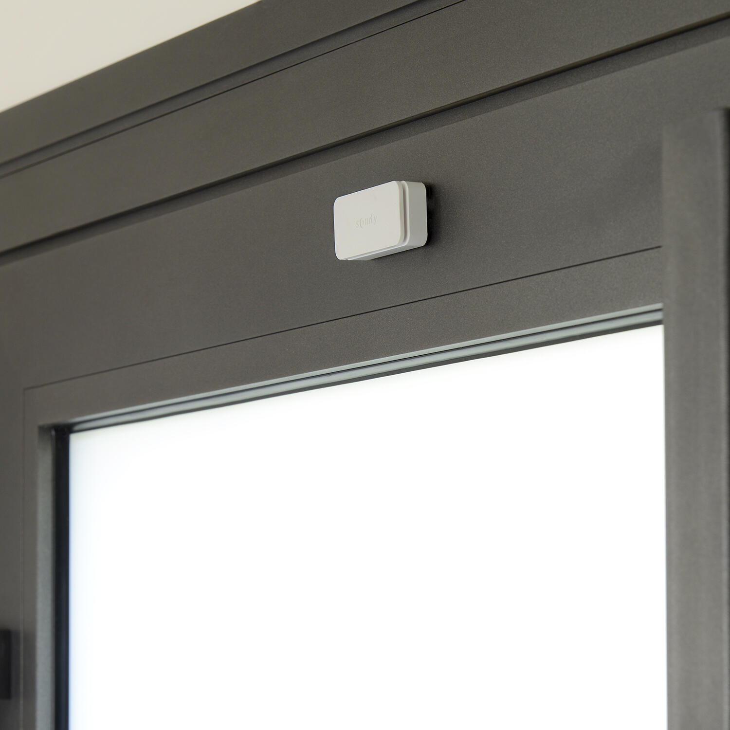 Lot de 5 détecteurs d'ouverture IntelliTAG, SOMFY Protect blanc - 5