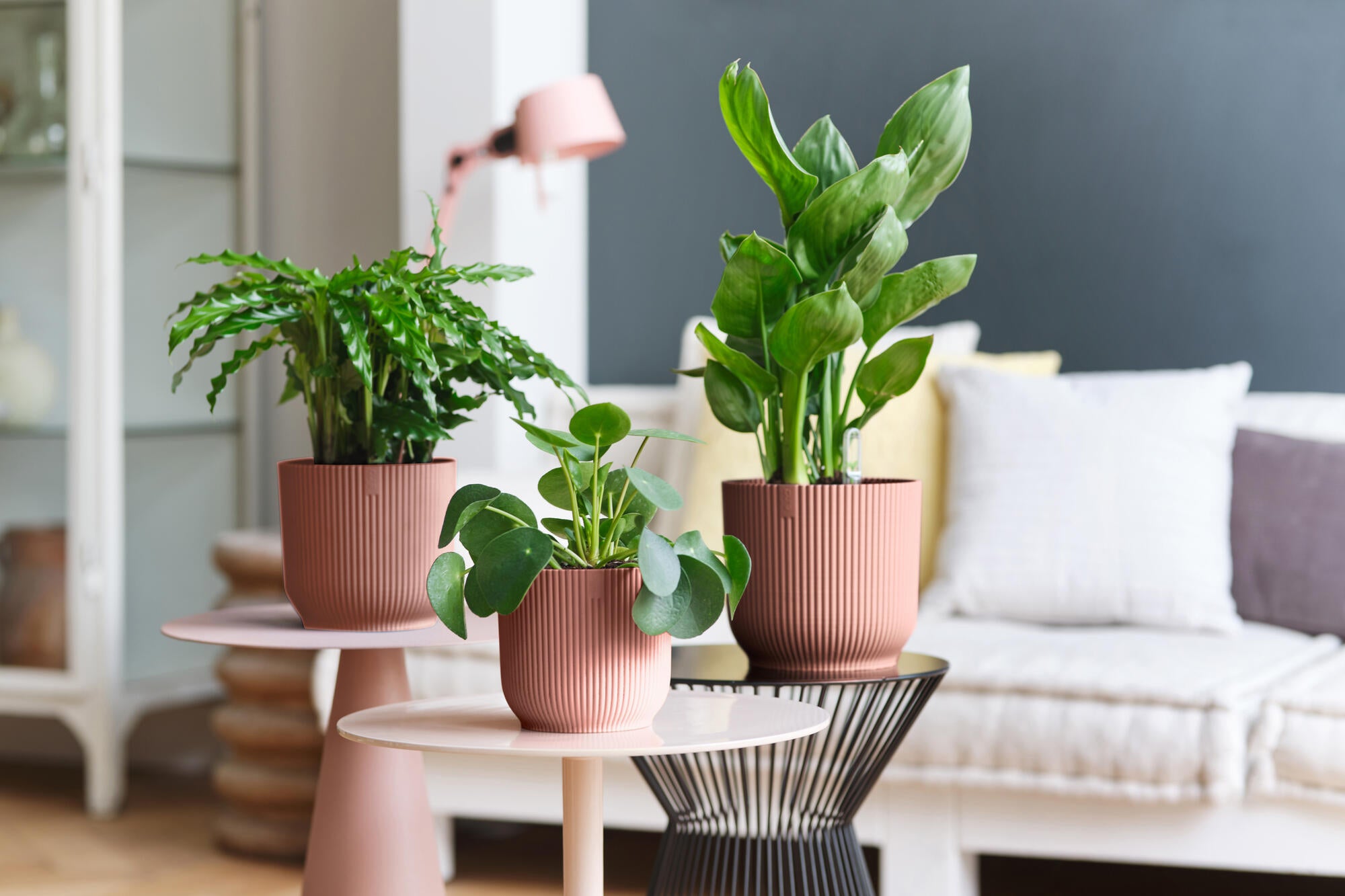 VIBES FOLD ROND 30 ROSE POUDRE - 3