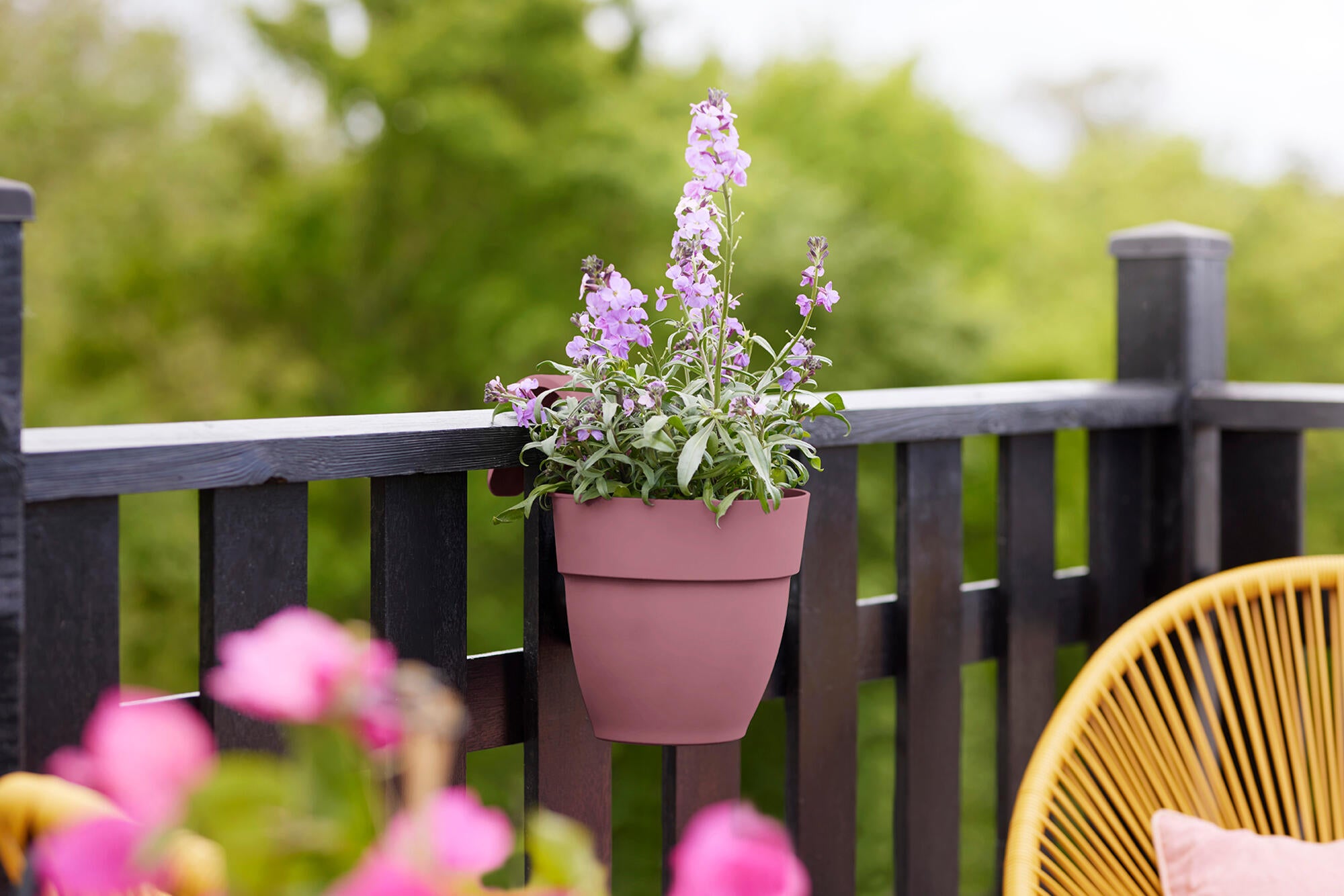 VIBIA EASY HANGER S ROSE - 2