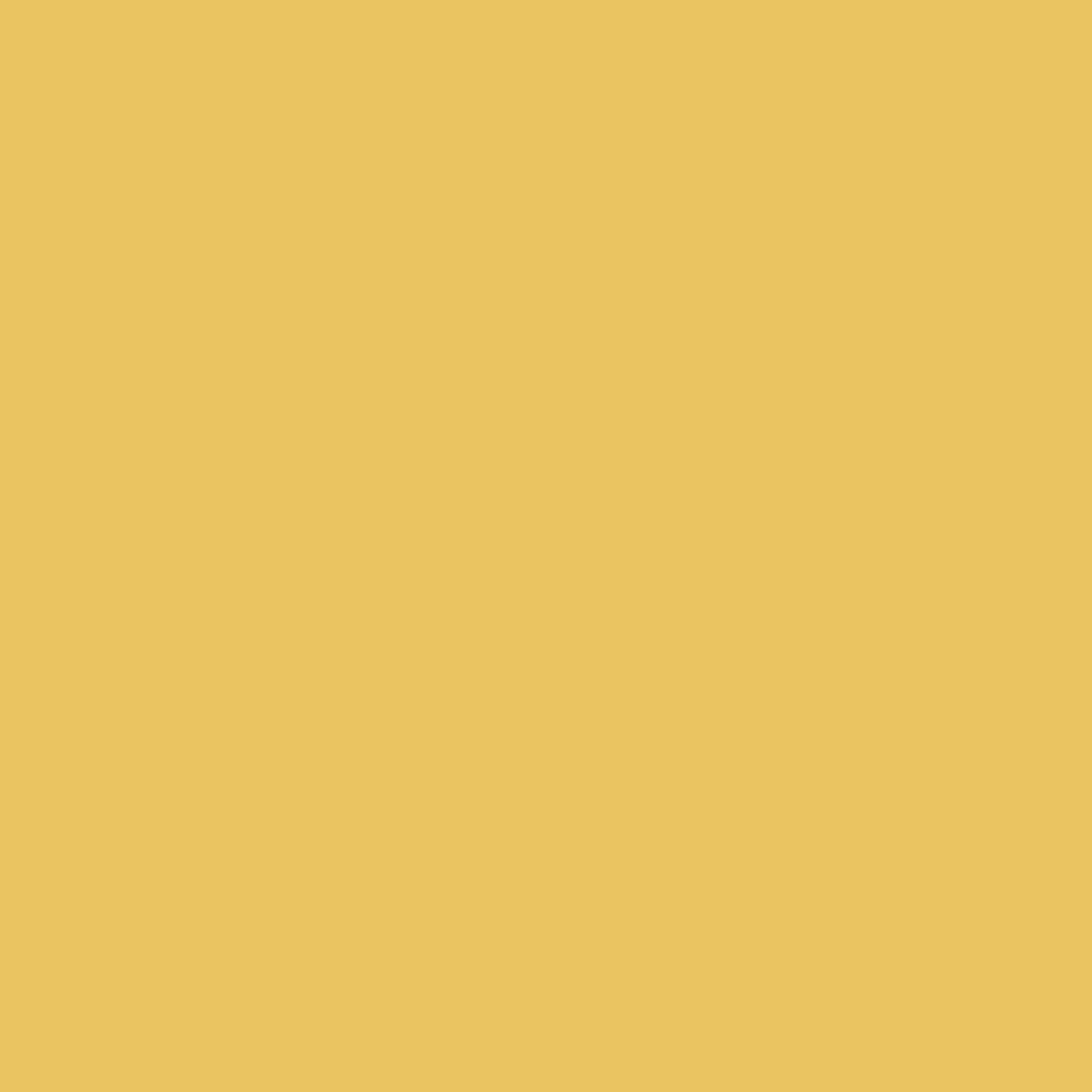 Peinture mur, boiserie gris tendance satin DULUX VALENTINE Crème de couleur 0.5l - 2