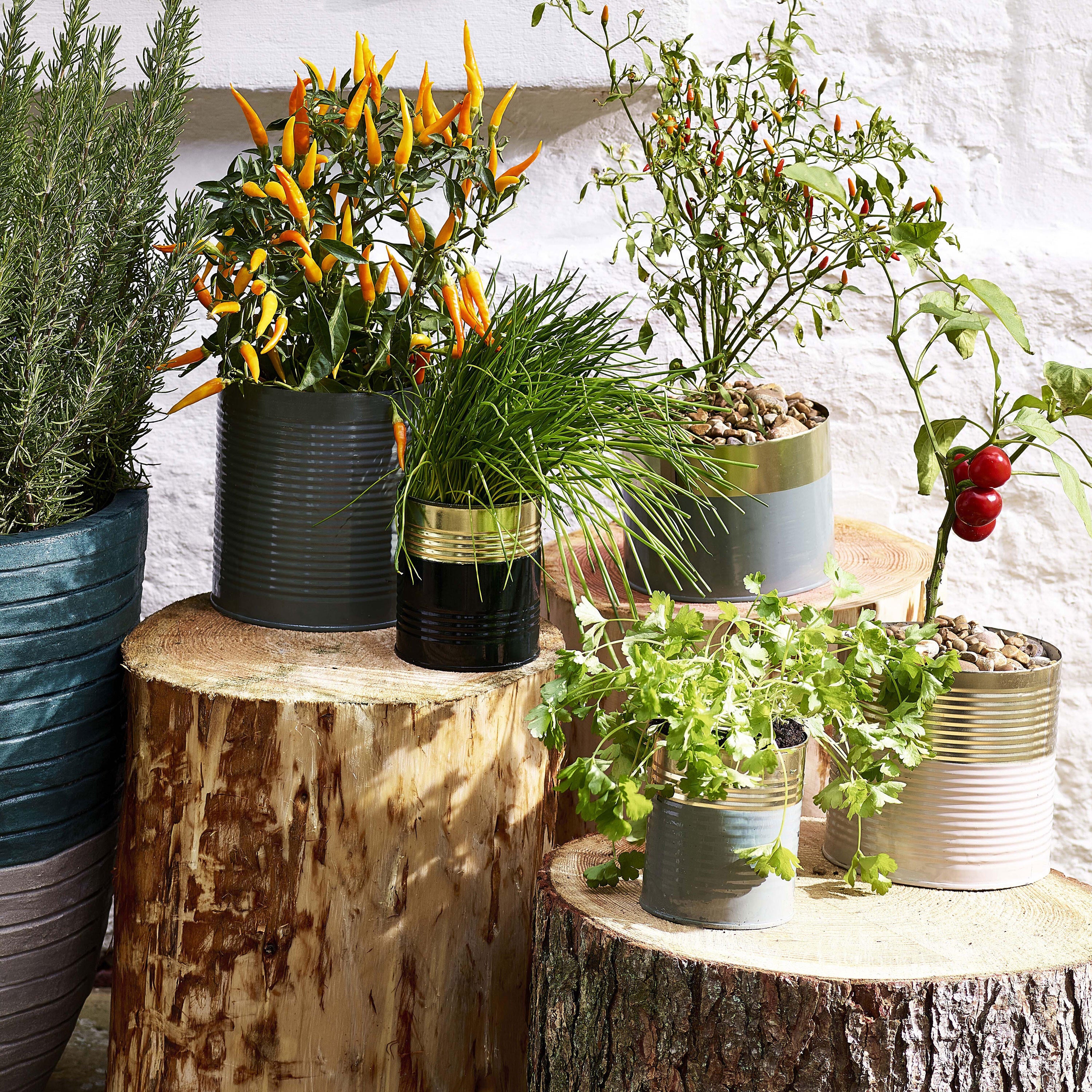 Bombe de peinture Color touch DULUX VALENTINE blanc RAL 9010 brillant 400 ml - 5