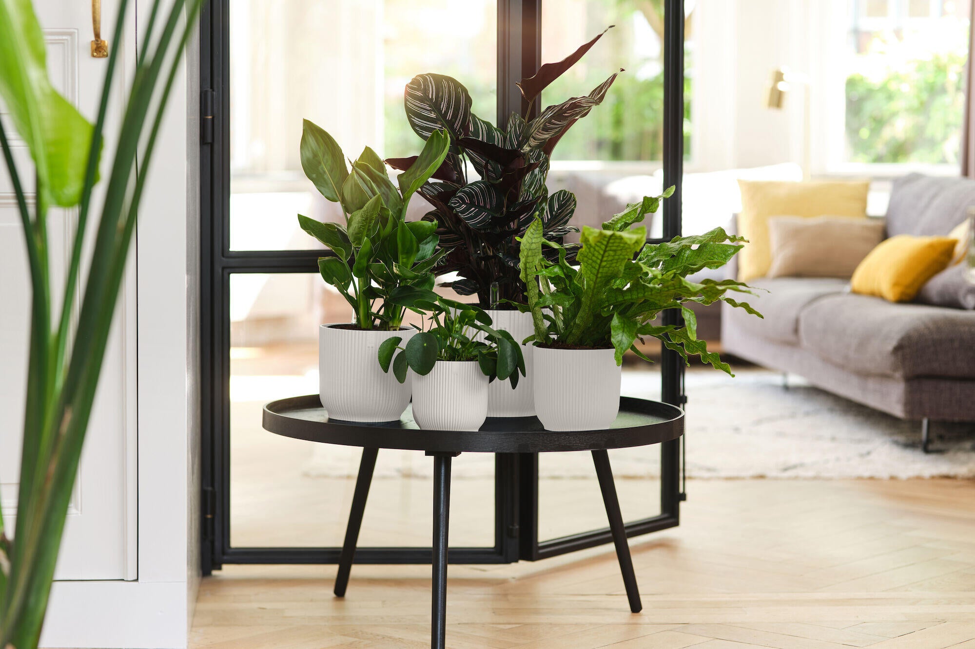 Cache pot rond ELHO D.18 x H.16.8 cm blanc - 3