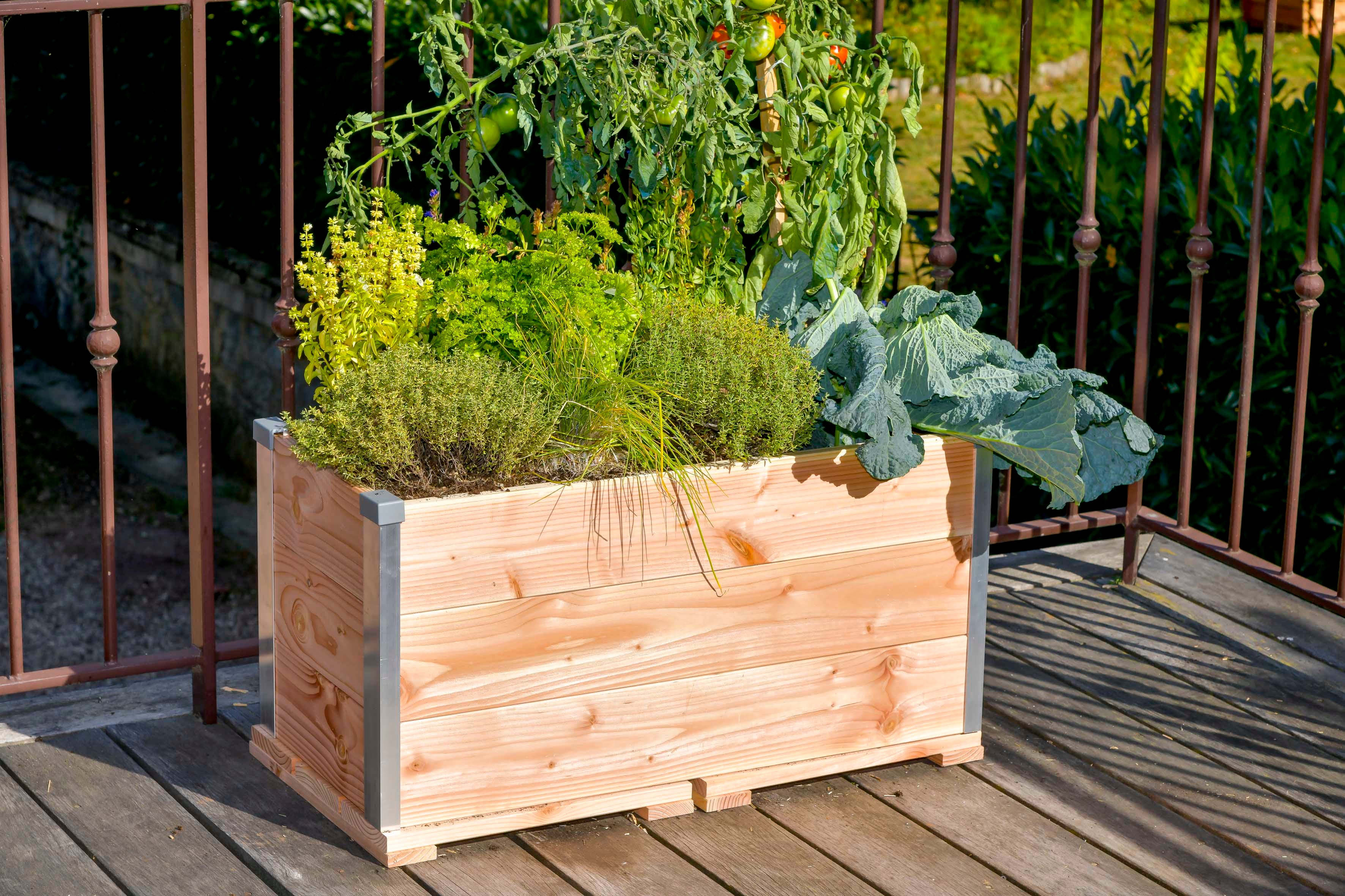 Potager au sol bois l.75 x H.36 cm MON PETIT POTAGER - 2