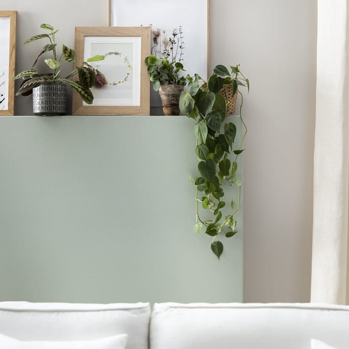 kolor farby SAGE 5 sypialnia w kolorze naturalnym