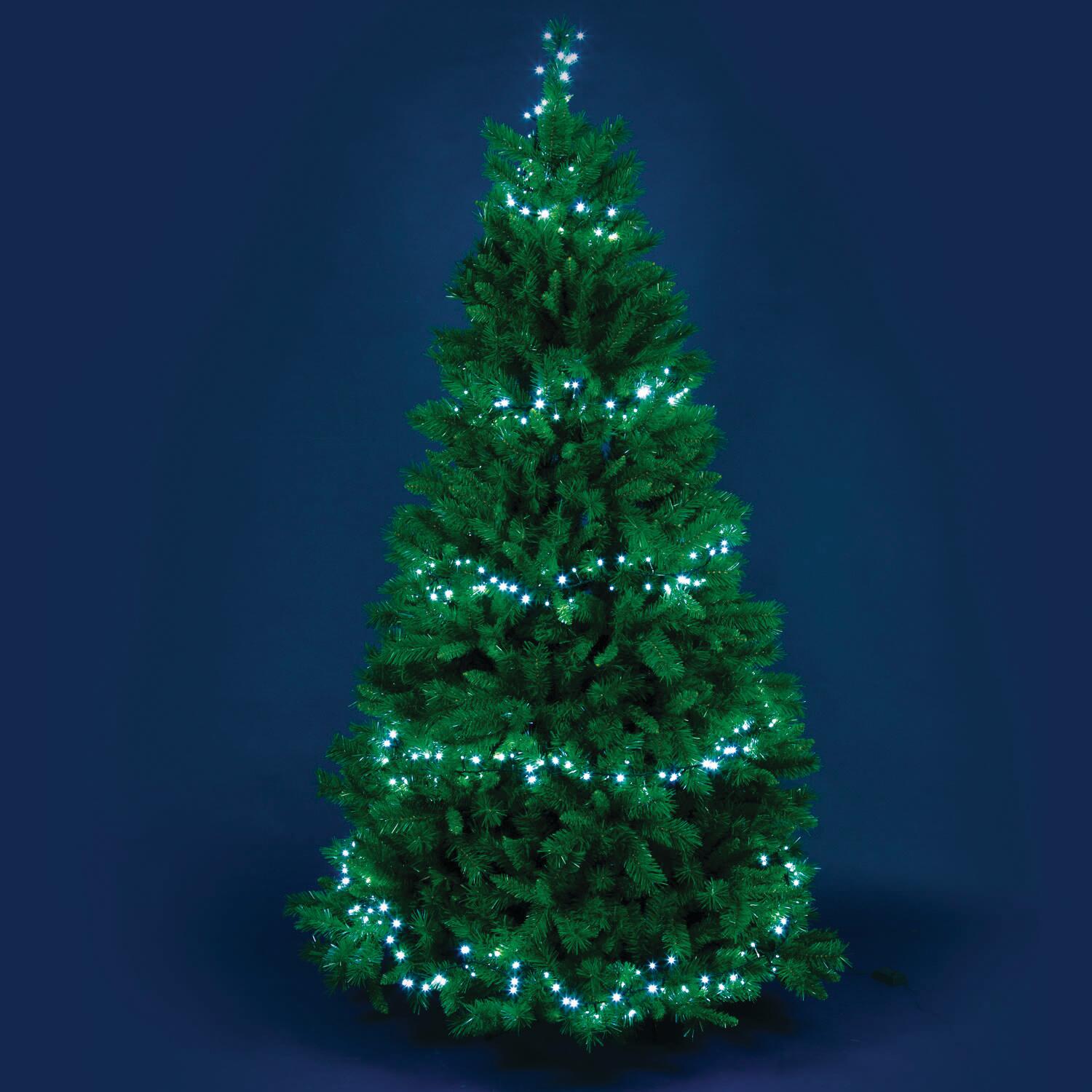 Filo di luci di natale 1000 lampadine LED bianco Led Mini cluster 24.5 m programmabile - 3