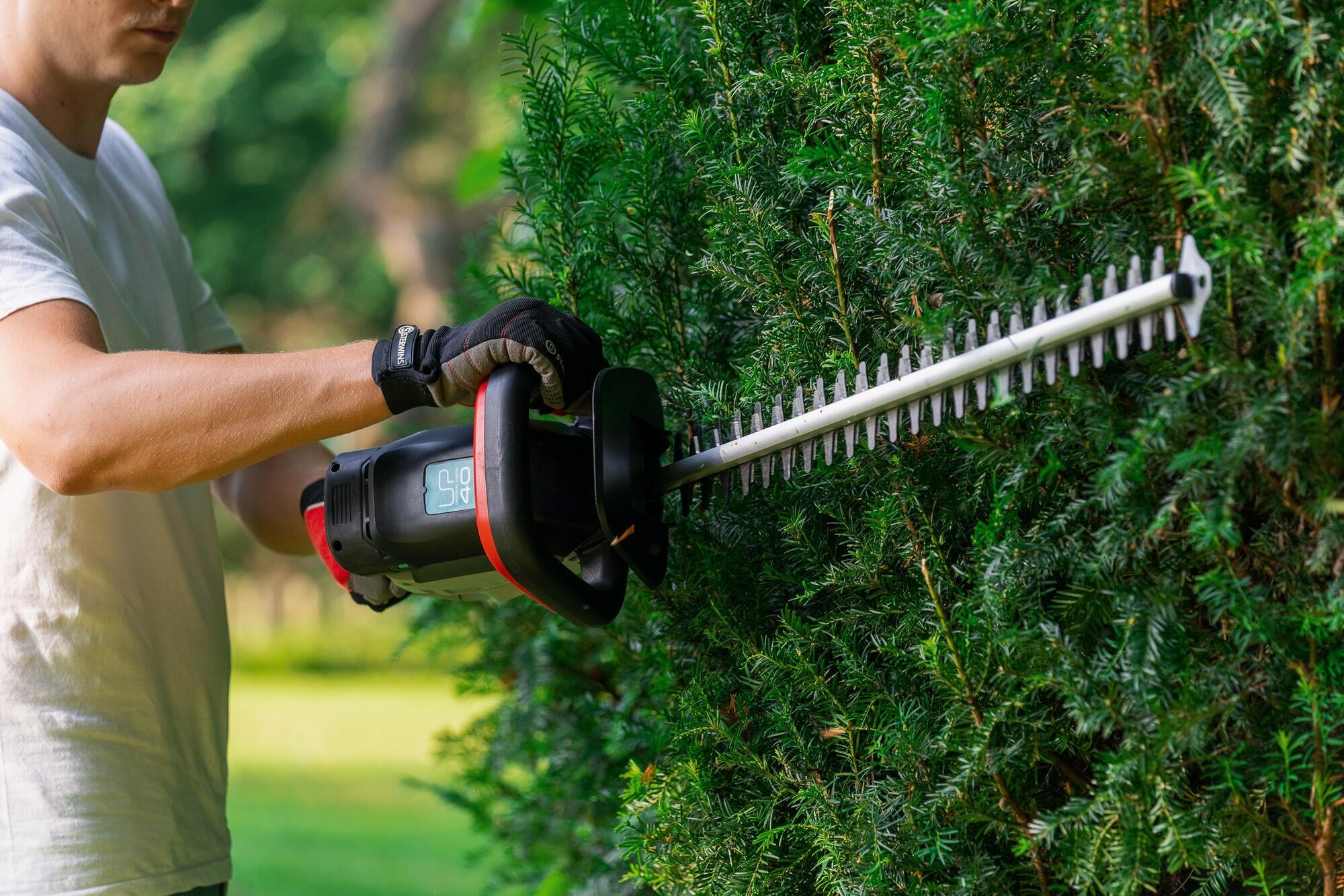 Tagliasiepi Elettrico 900w Con Asta Telescopica Tagliasiepe Einhell Gc