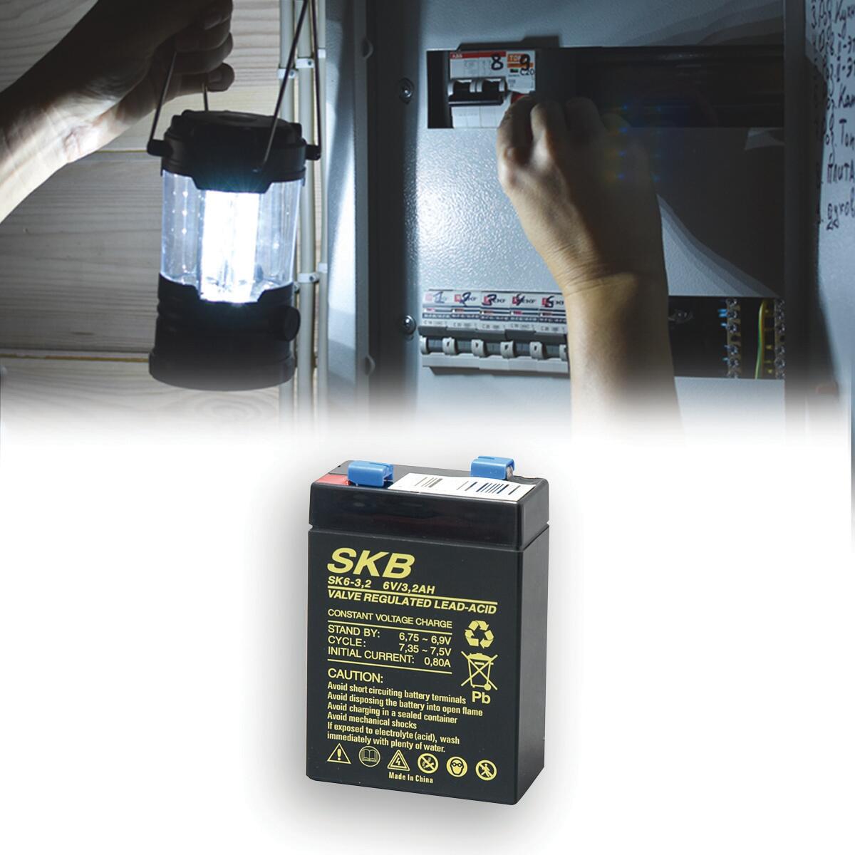 Batteria per allarme 6 V - 2