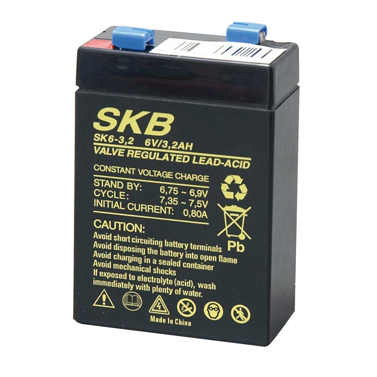 Batteria per allarme 6 V - 3