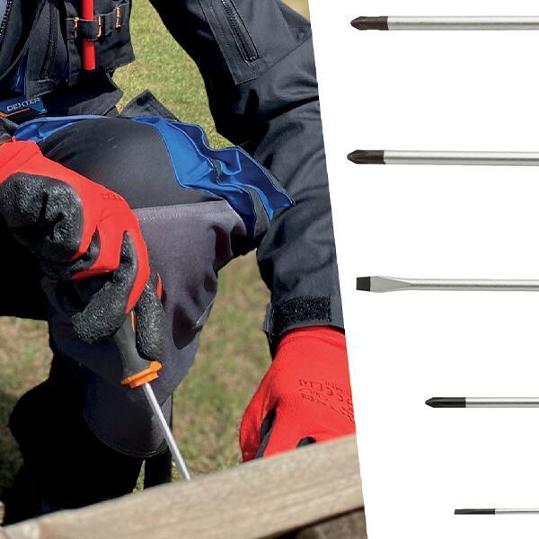 Tournevis pz pz1, L.80 mm DEXTER PRO - 5