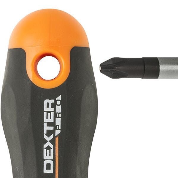 Tournevis tamper torx TT20, L.100 mm DEXTER PRO - 3