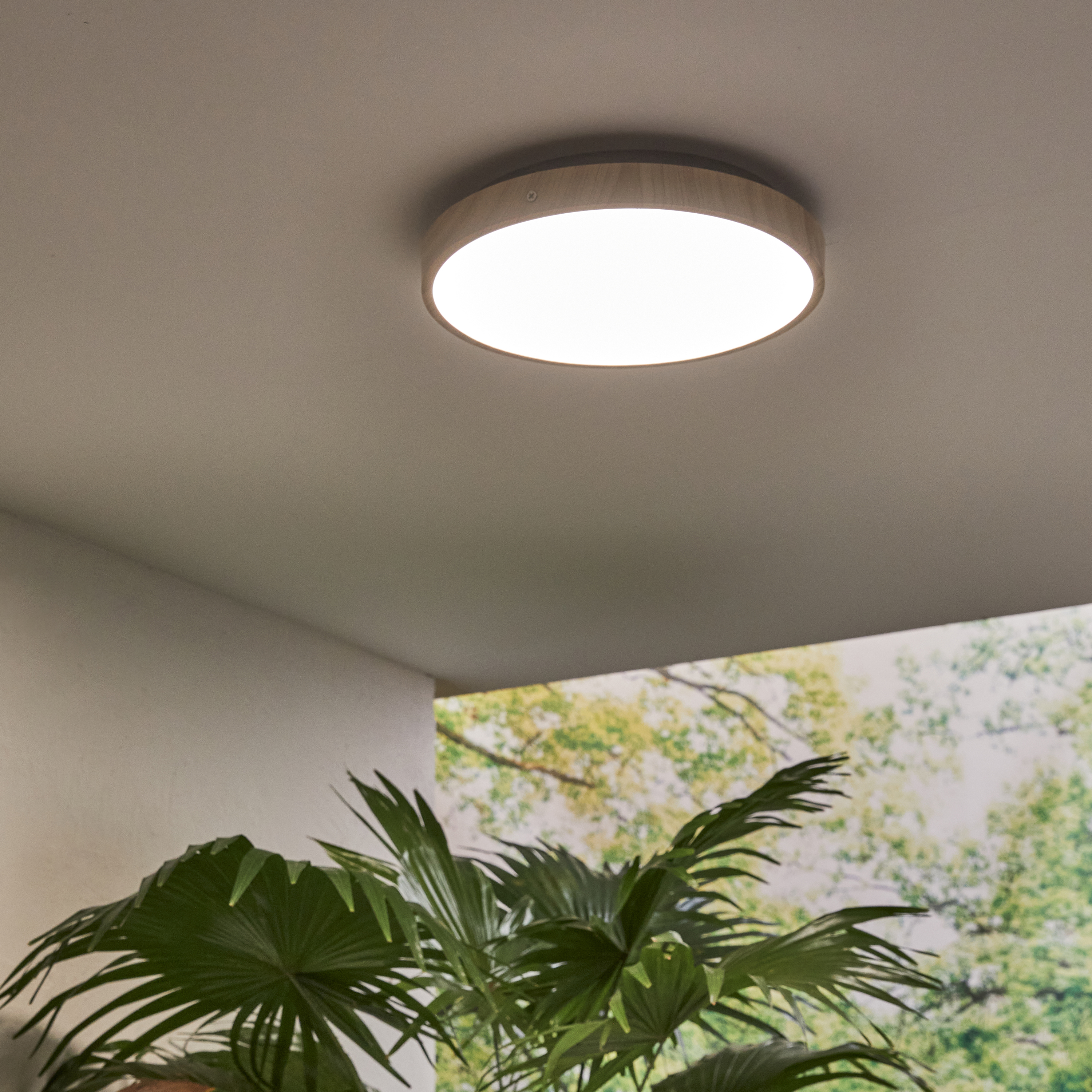 Plafón de exterior e interior INSPIRE Shinrin 1200lm 4000K madera - 4