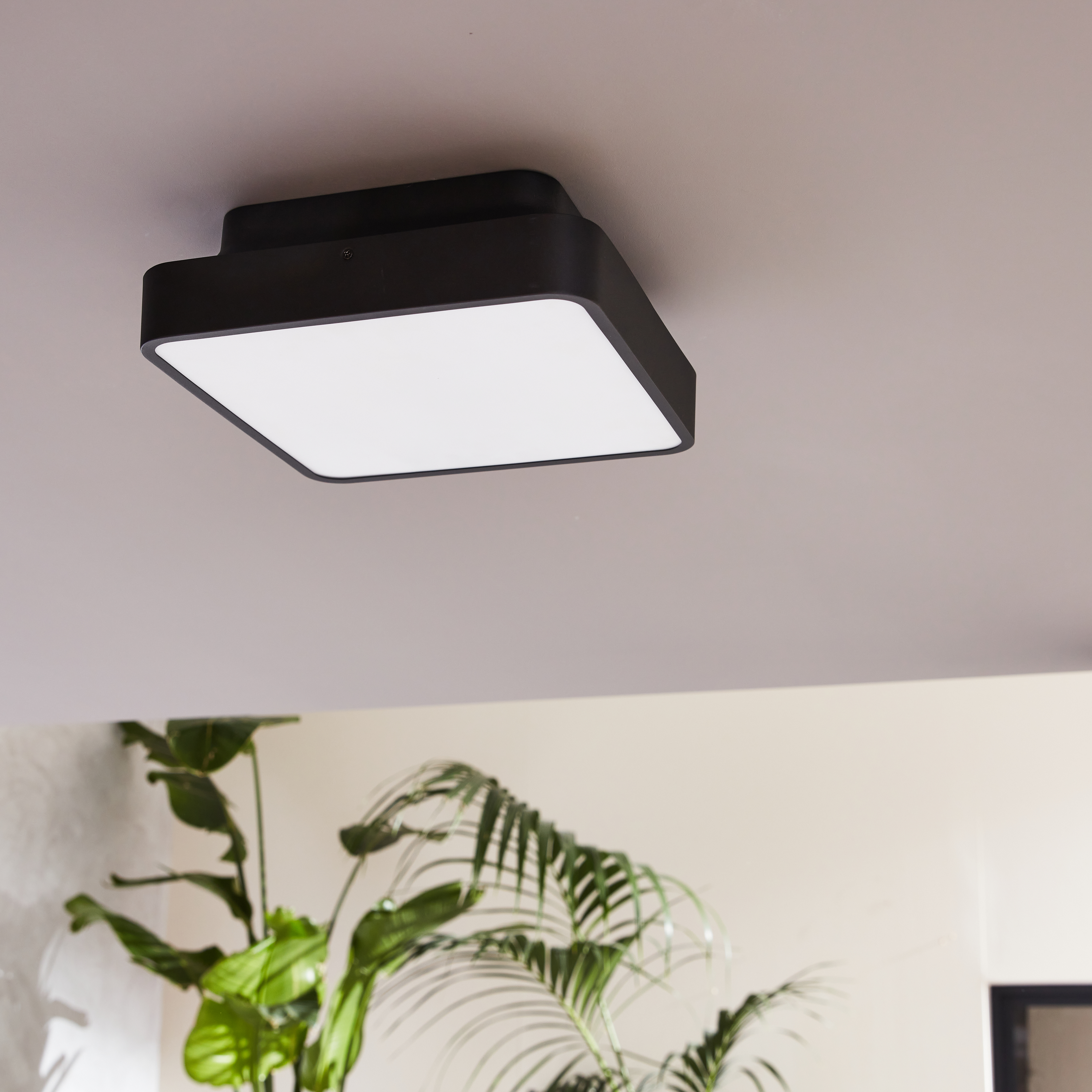 Plafoniera Da Esterno PLAFF CRISTHER: Design Classico, IP65, Perfetta Per Illuminare Giardini E Ingressi! - Foto 5