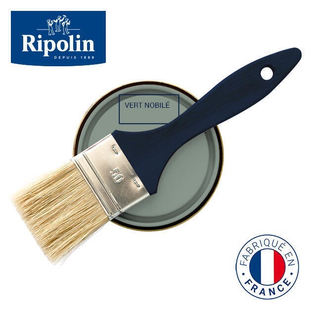 peinture_ripolin_mur_boiserie_radiateur_vertnobile_inspiration.jpg - 1