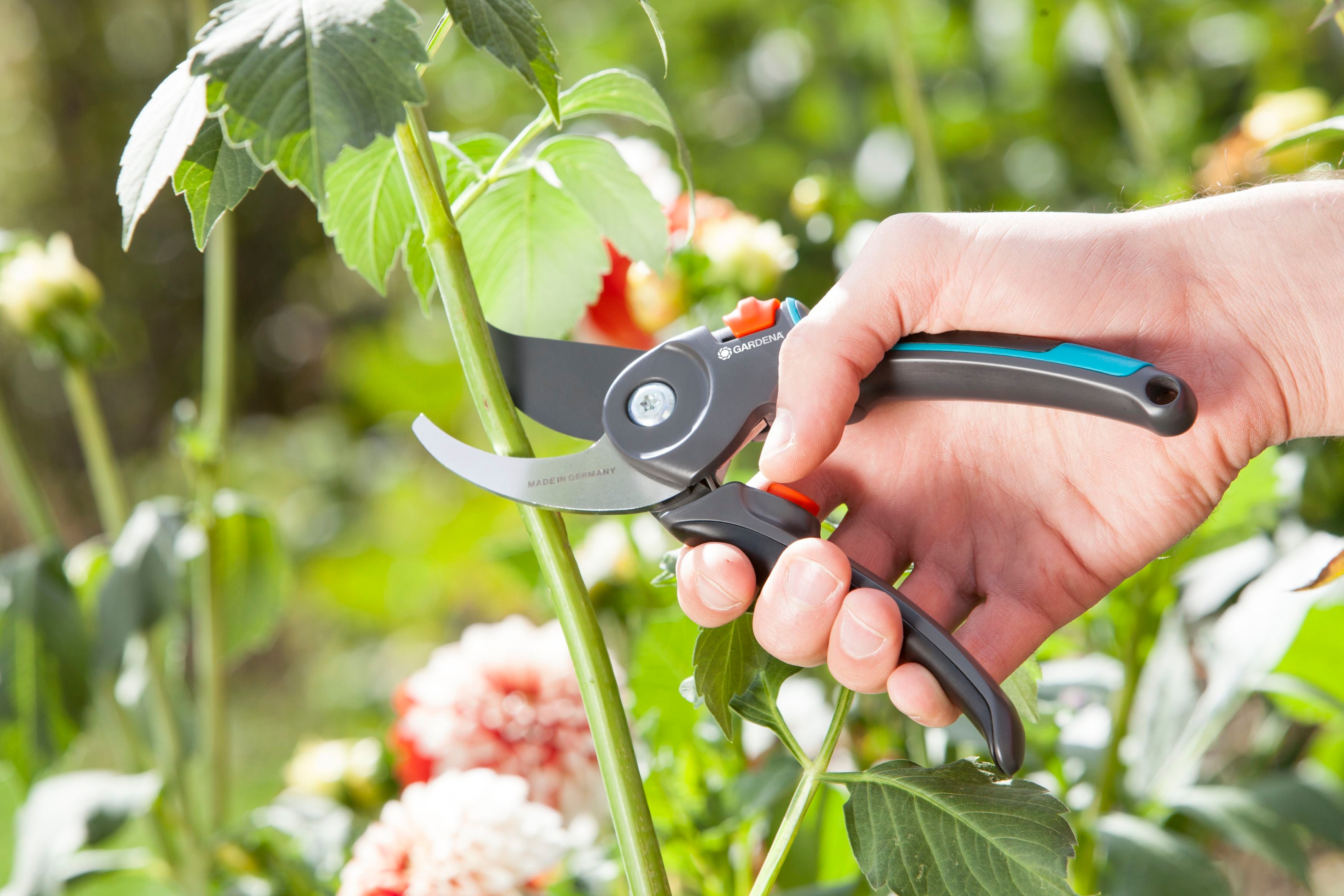 Sécateur à lame franche GARDENA B/M Comfort 8904-20, 24.0 mm - 10