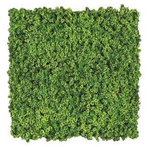 LIF MZ8008-S Siepe Artificiale Foglie Di Lauro Con Rete Mt 1,5x3 - Foto 7