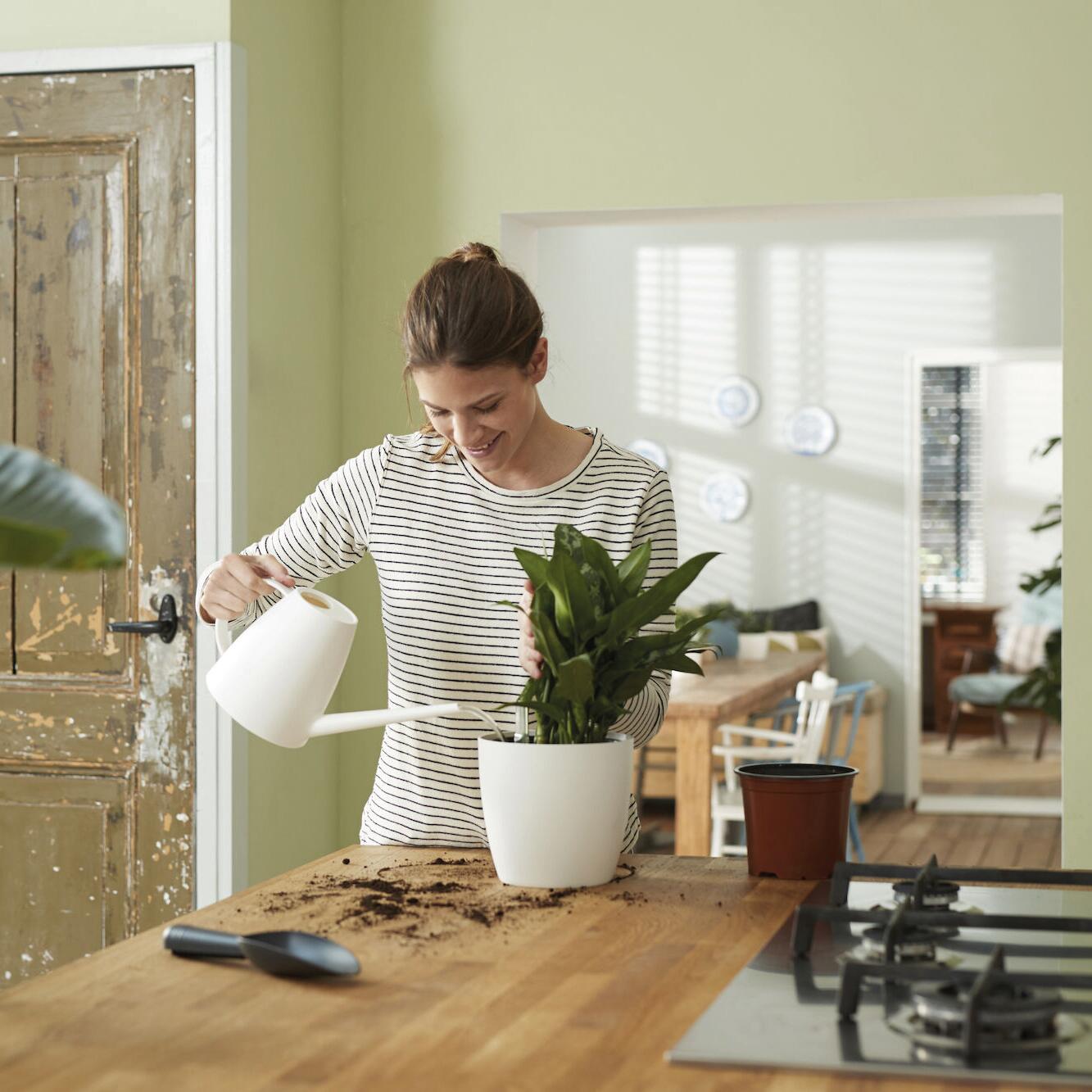 Vaso con supporto ELHO Auto-irrigante in polipropilene nero H 34.5 x ø 36 cm - 4