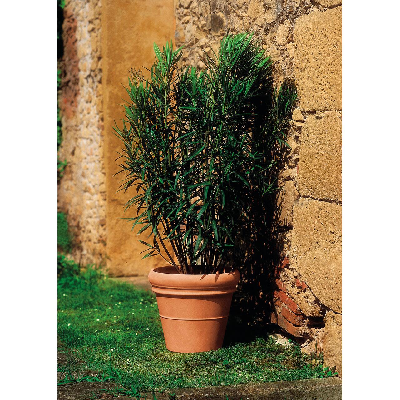 Vaso Doppio bordo EURO3PLAST in polietilene rame H 47 x ø 55 cm - 2