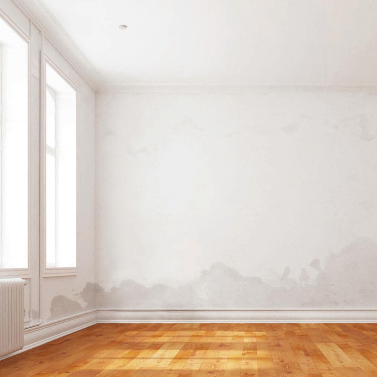 Pittura per interni per parete e soffitto antimuffa, LUXENS Extra Opaca bianco opaco, 14 L - 4