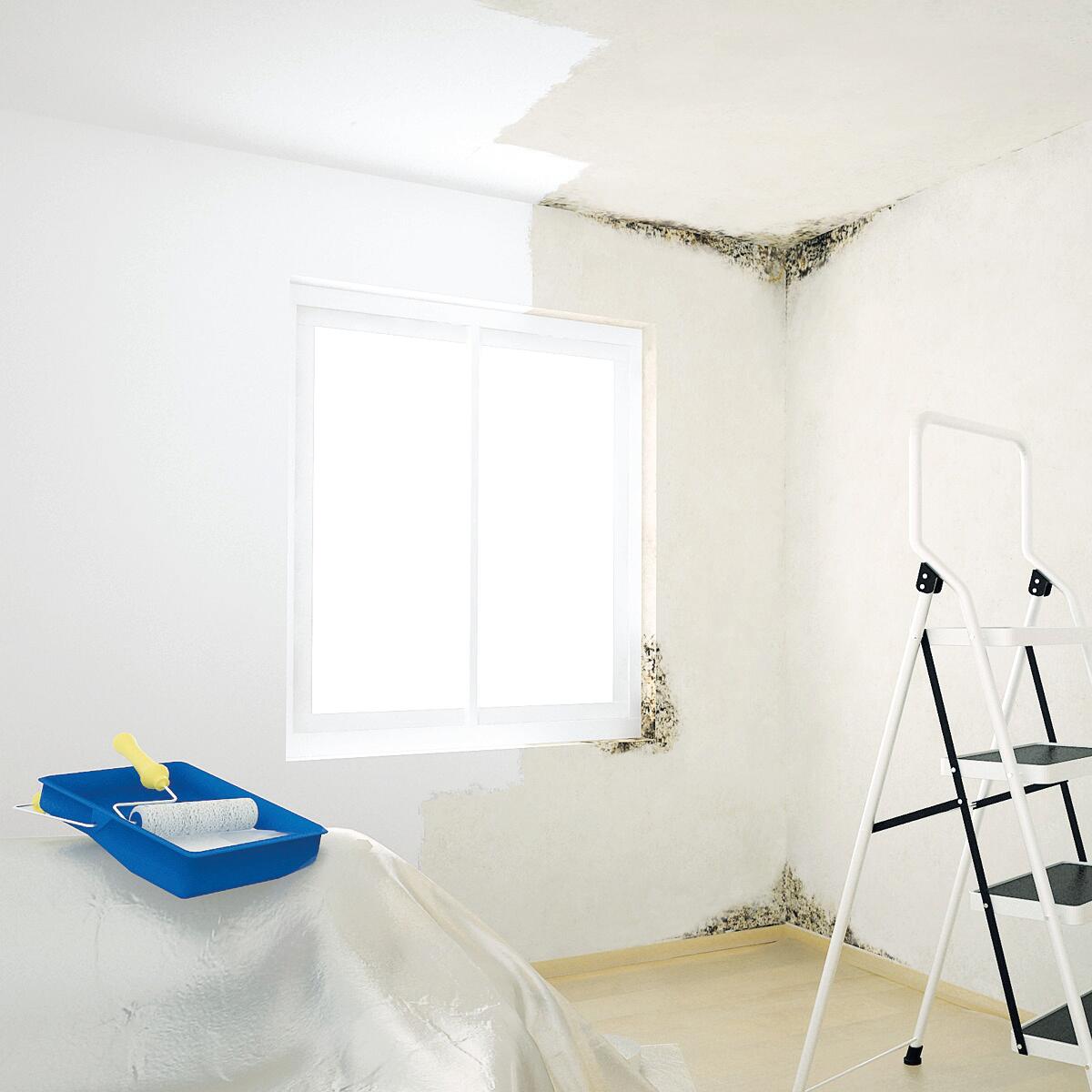 Pittura per interni per parete e soffitto antimuffa, LUXENS Extra Opaca bianco opaco, 14 L - 3