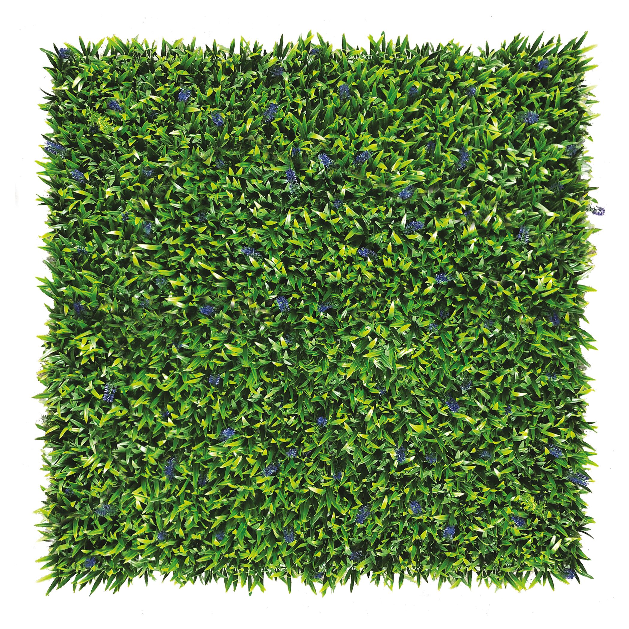 Jardín vertical Liriope 50x50cm - 2