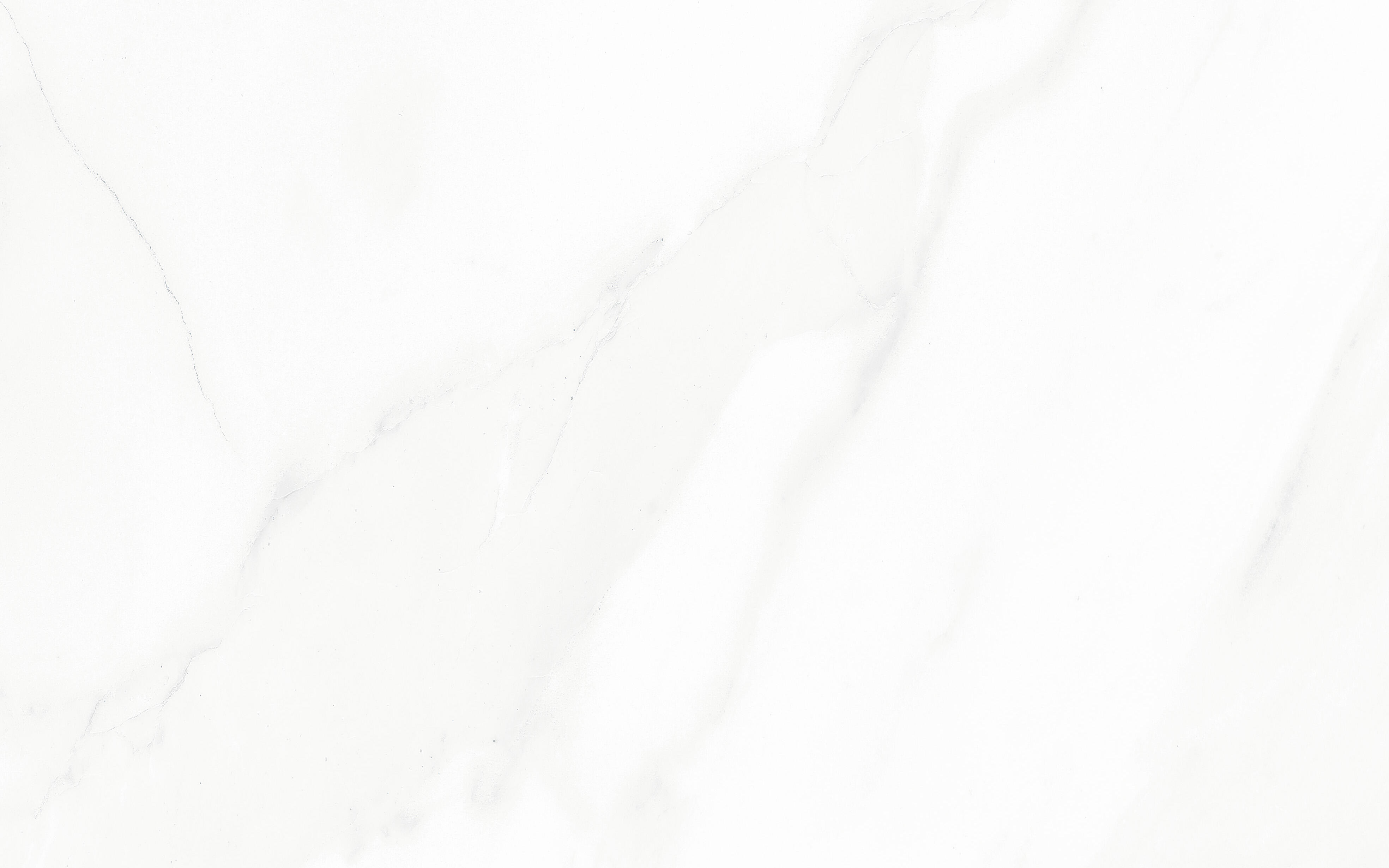 Piastrella da rivestimento interno in gres naturale 25 x 40 cm non rettificato bianco lucido Royal Sp. 7.3 mm 1.7 mq - 3