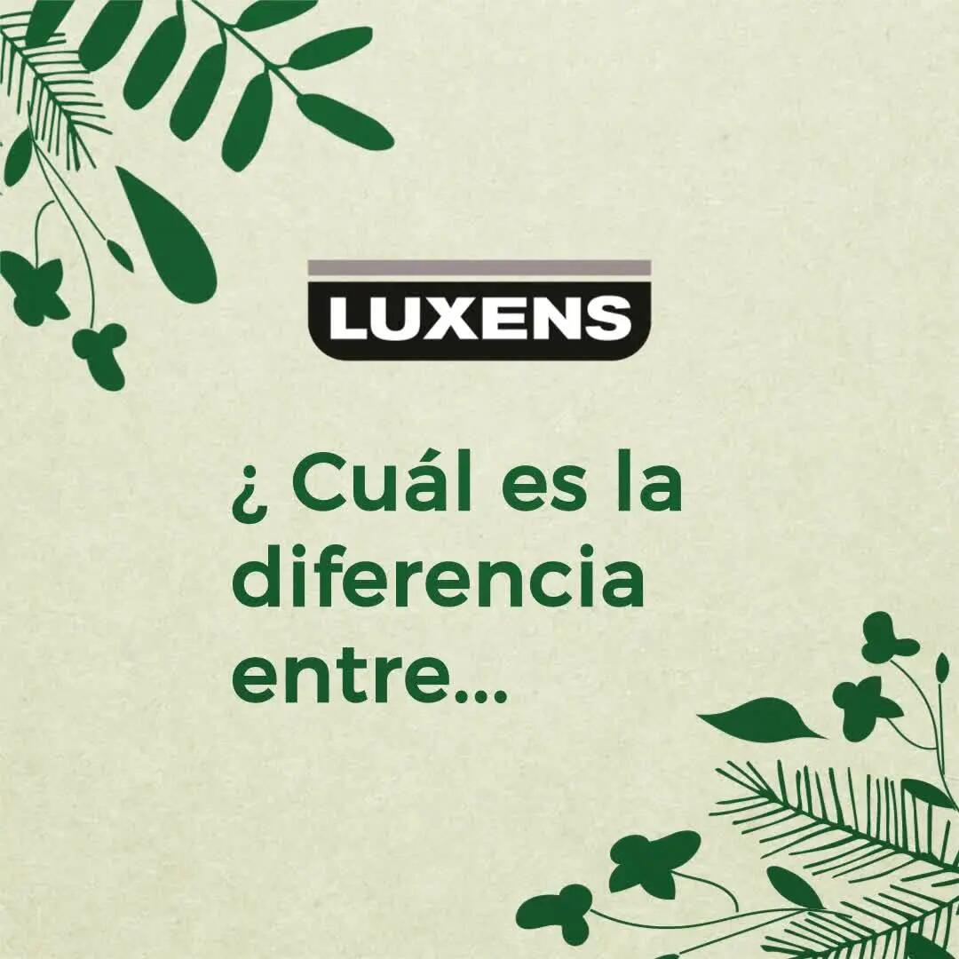 Pintura de interior Biobase Blanca LUXENS color blanco mate 4L para paredes y techos - 7