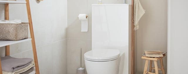 Photo Leroy Merlin de WC ambiance nature. 