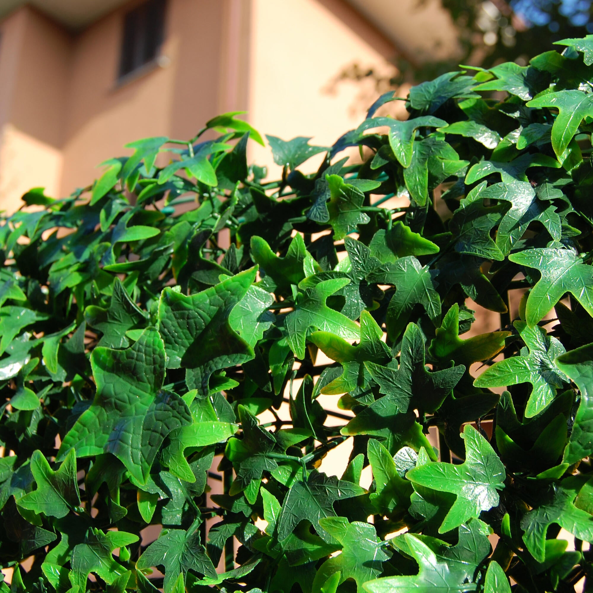 Giardino verticale parete Edera Divy 3D in polietilene alta densità, verde H 0.5 m x L 0.5 m - 2