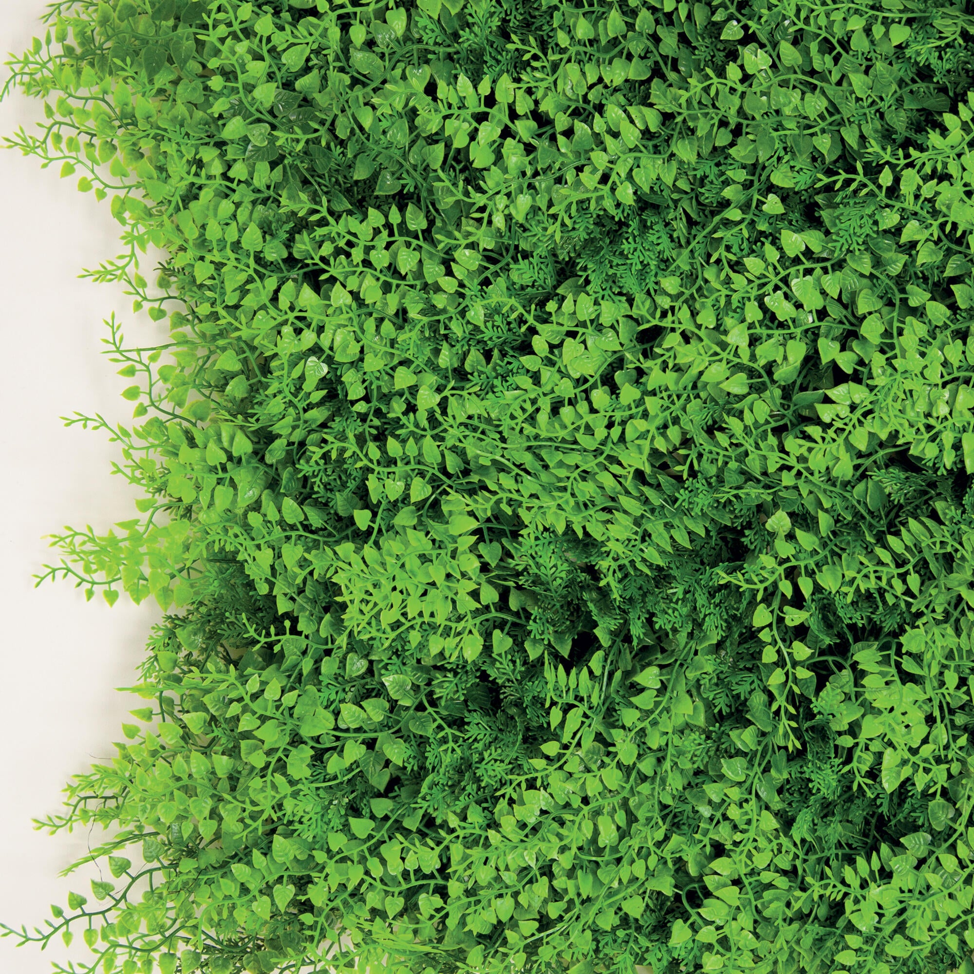 Seto artificial divi fern verde tenax 1x1 m