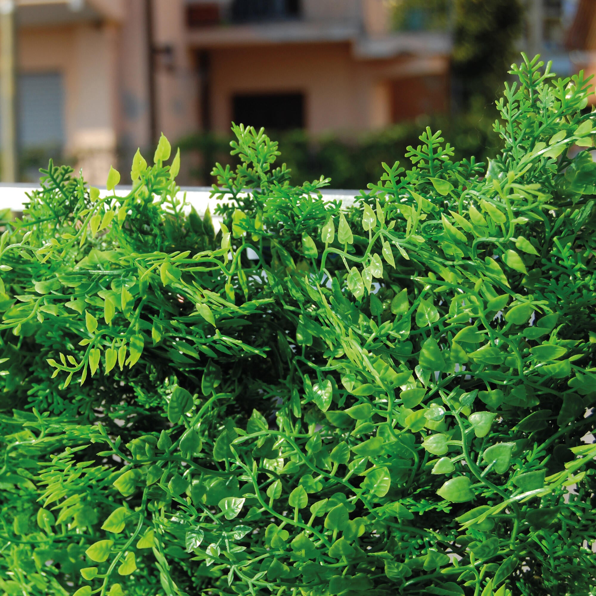 Giardino verticale parete Felce Divy 3D in polietilene alta densità, verde H 1 m x L 1 m - 2