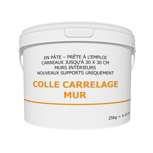 Colle en pâte pour mur intérieur, max 30x30cm, blanc, 25KG