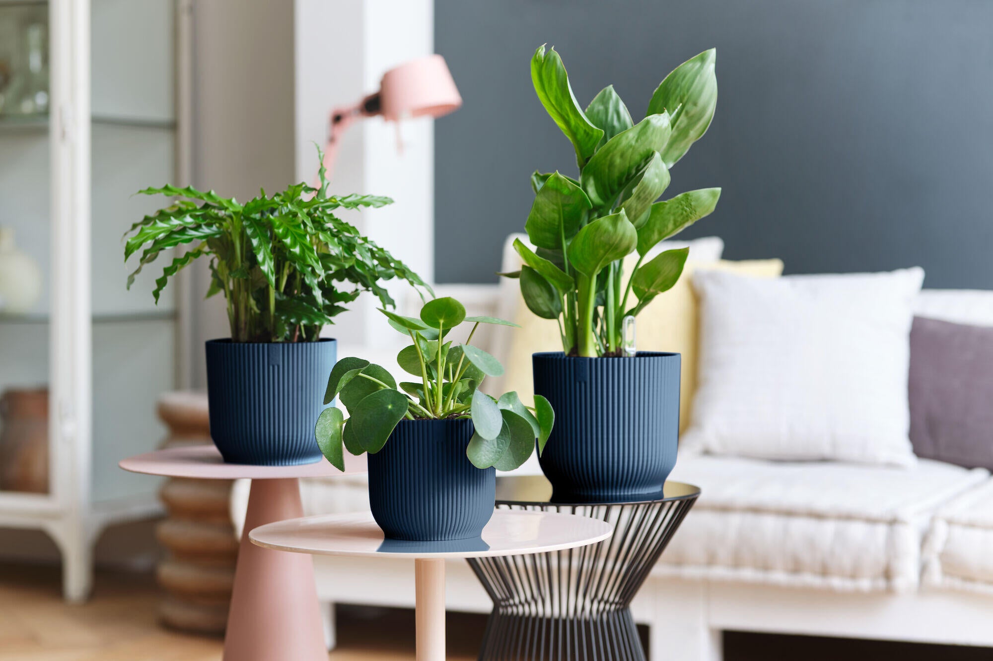 Pot de fleur rond ELHO D.22 x H.20.2 cm bleu clair - 5