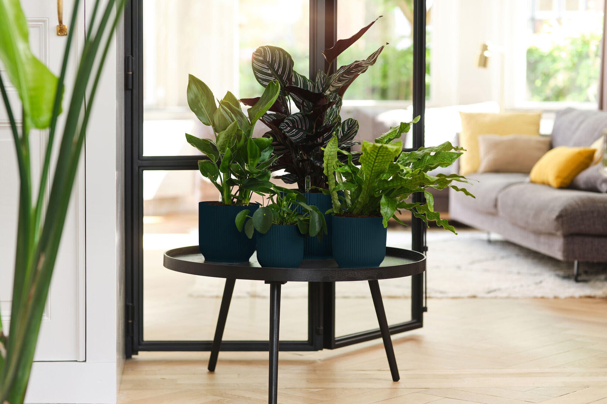 Vaso per piante e fiori VIBES ELHO in polipropilene azzurro H 14.8 cm Ø 16 cm - 2