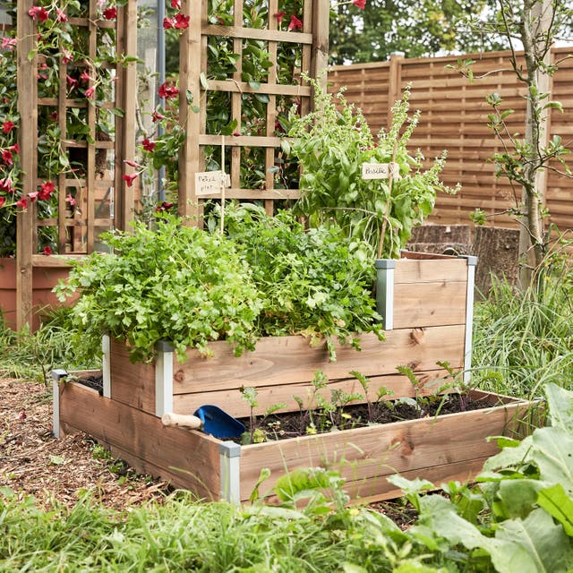 photo d'un carré de potager