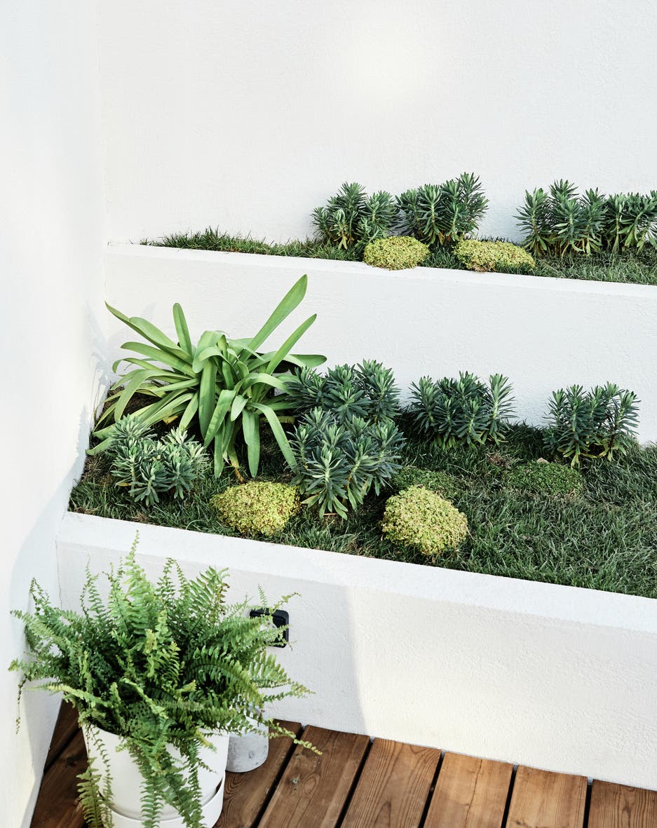 photo de jardiniere sur mesure XXL peint en blanc