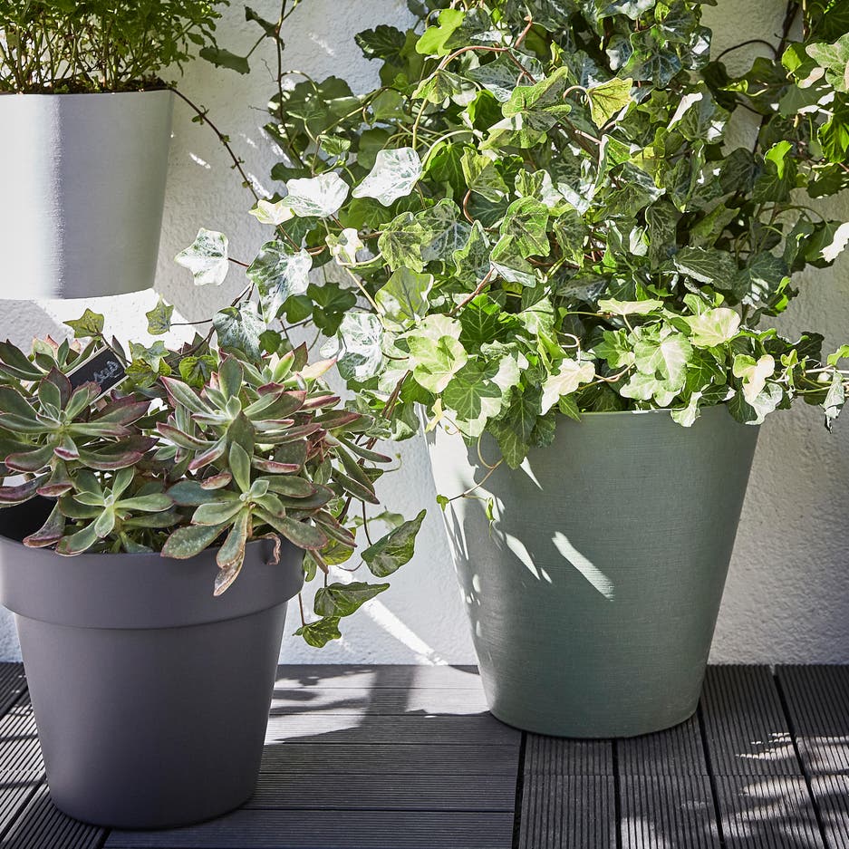 Style industriel et ambiance nature sur le balcon Leroy Merlin