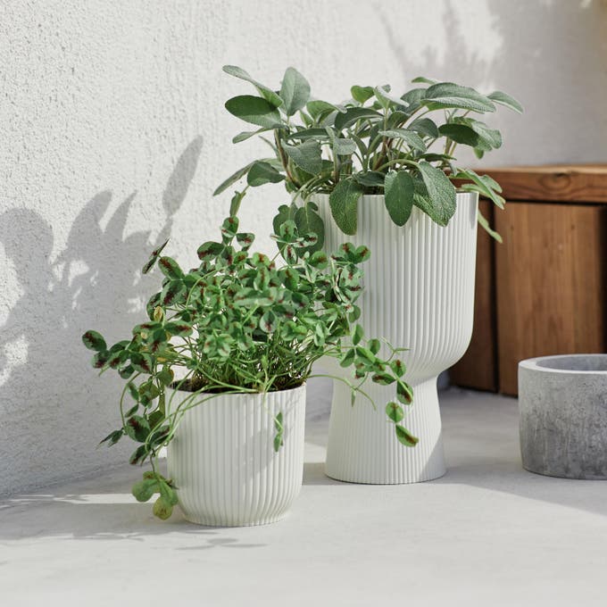 photo de 2 pots de fleur blanc