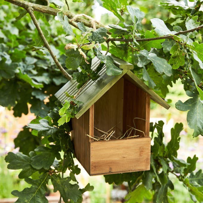 photo d'un nichoir dans un jardin responsable