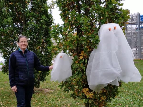 Boules De Halloween 12 Pièces Boules D'Halloween Incassables Ornements