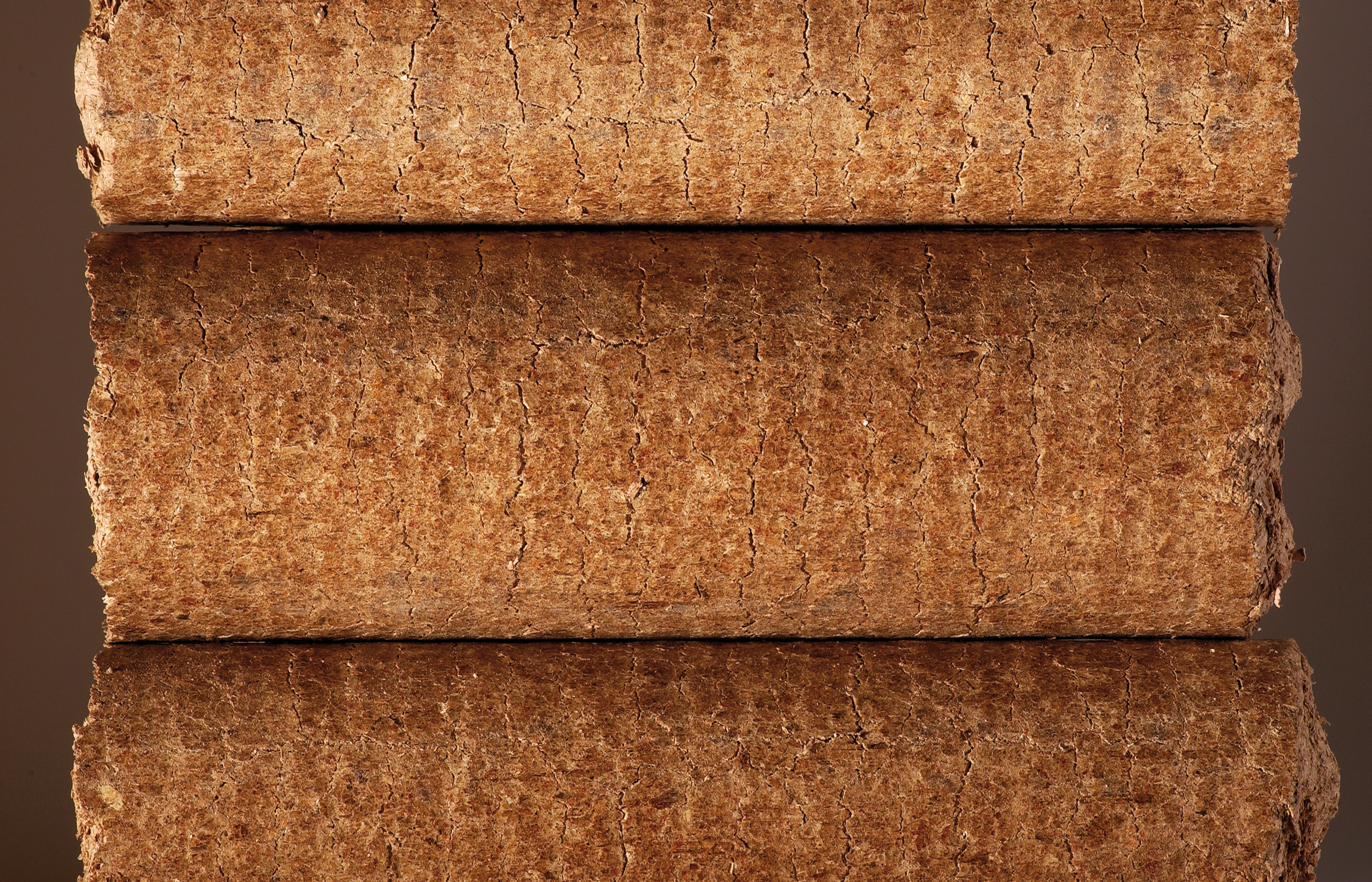 Bûches compressées EQUATION sac 5 bûches, L.30cm - 3