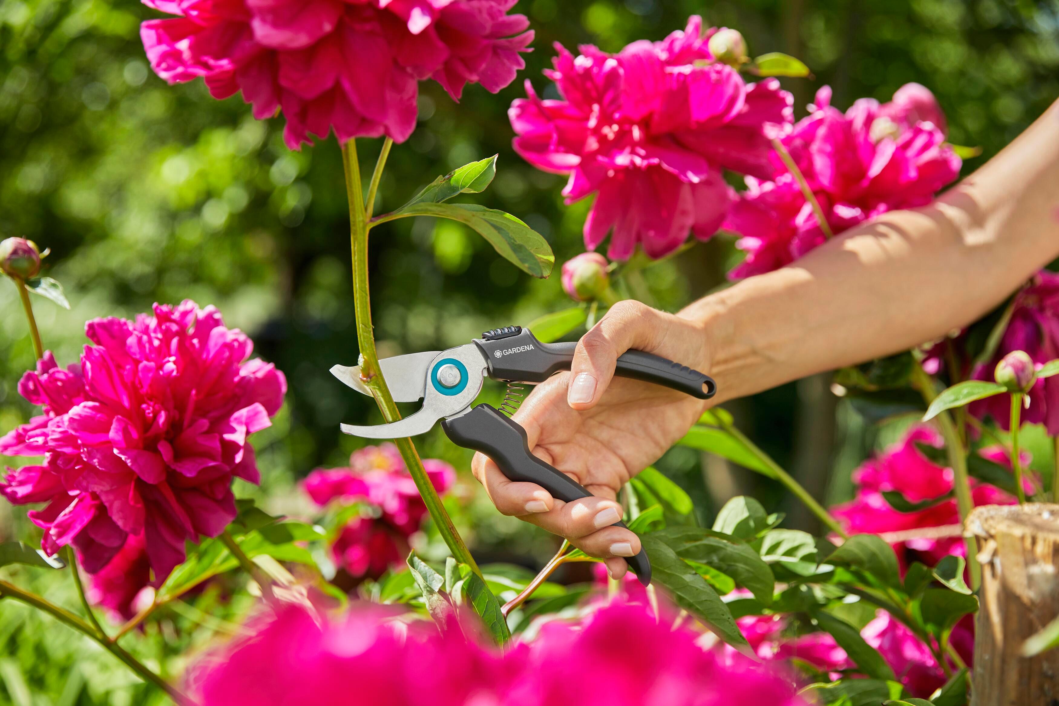 Sécateur à fleurs inox GARDENA Ecoline 12210-20 18 mm - 5