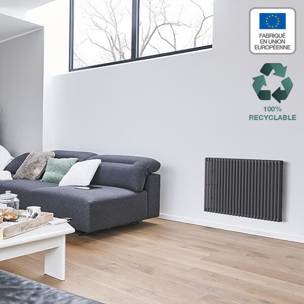 Filin radiateur Acova à eau chaude, design moderne et contemporain. 