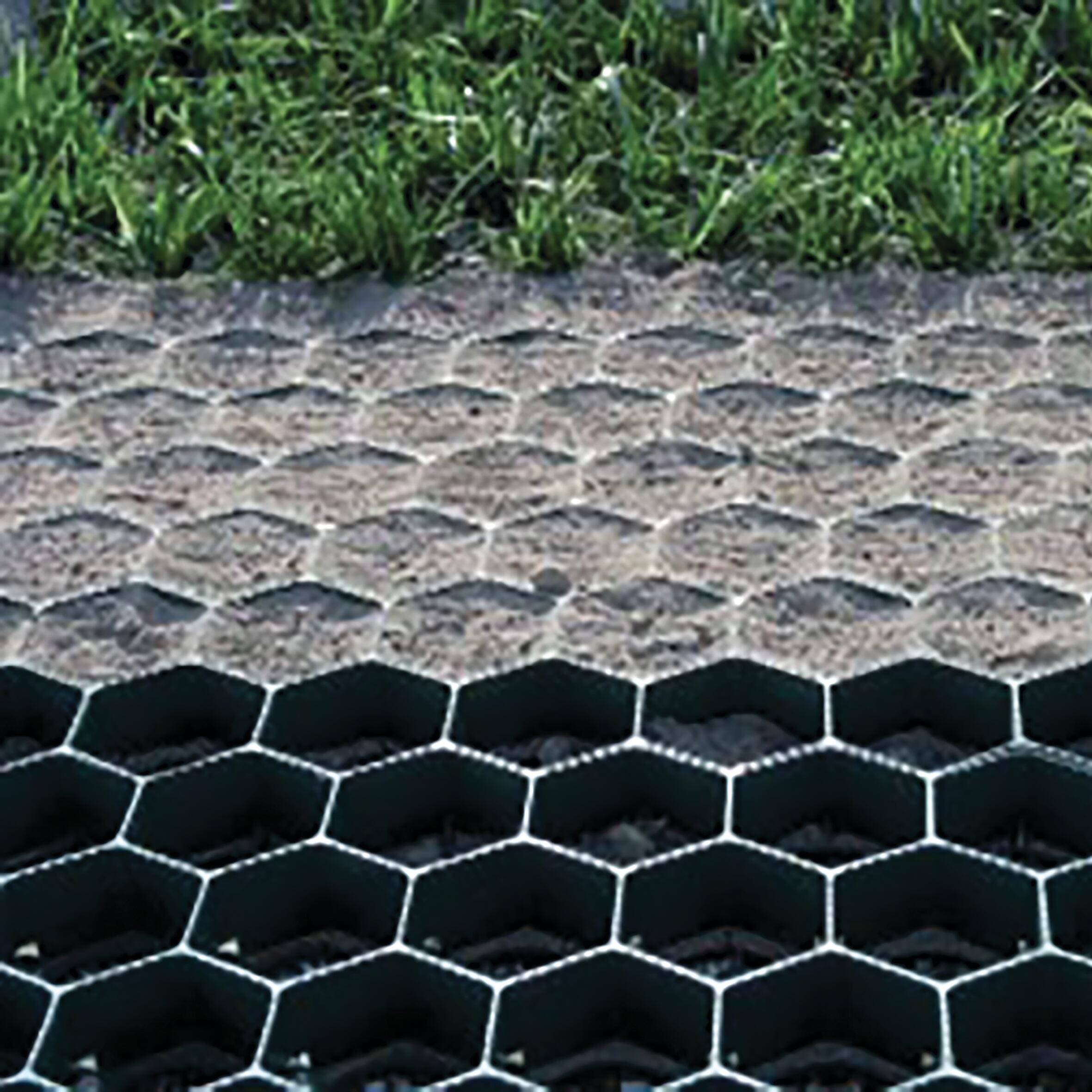 Griglia salvaprato verde L 60 x L 56 cm, spessore 40 m - 6