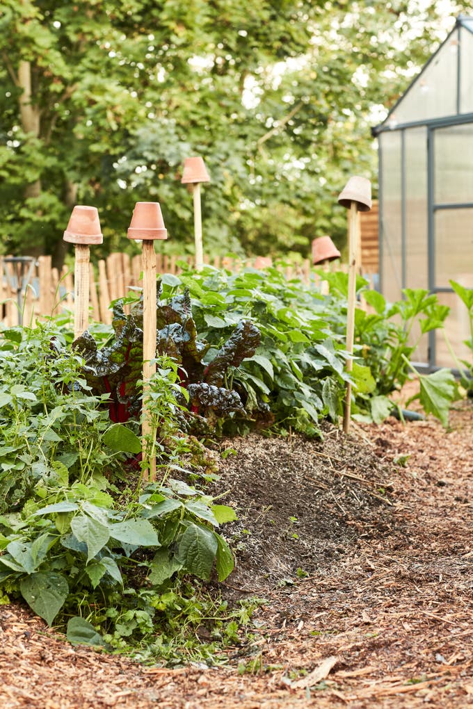 photo de tuteurs dans un potager responsable