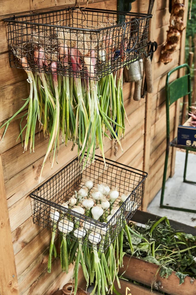 photo de paniers avec des légumes
