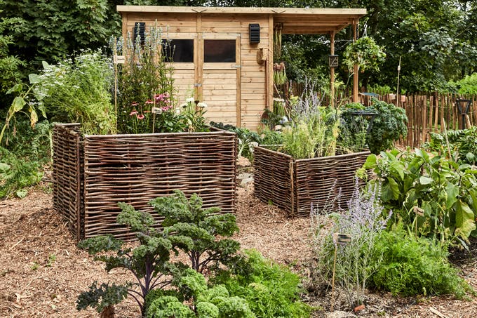 photo d'un carré de potager
