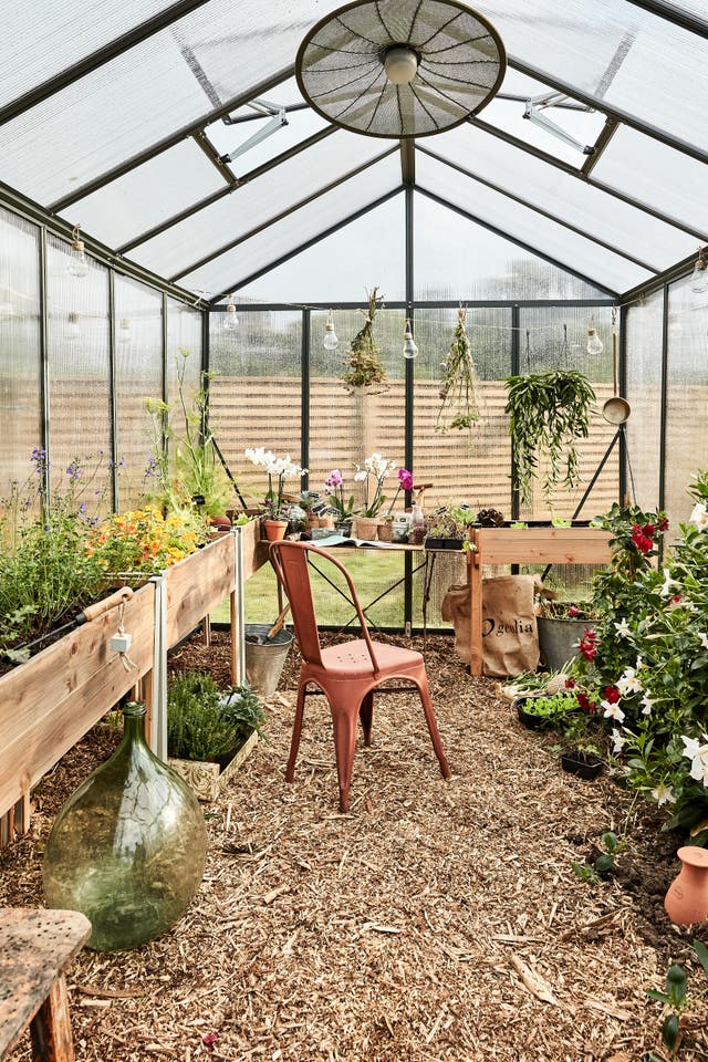 photo de l'intérieur d'une serre